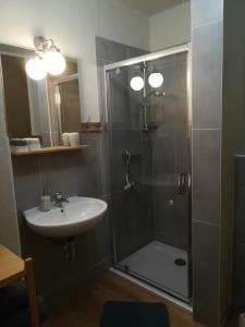 a bathroom with a shower and a sink at Ferienwohnung Großwulkow 