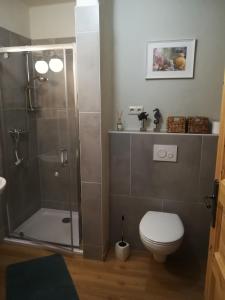 bagno con doccia e servizi igienici. di Ferienwohnung Großwulkow 