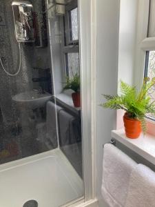 ein Bad mit einer Dusche und einem Waschbecken in der Unterkunft Home from Home in our Self-Contained Annexe in Radwinter