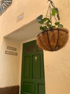 una puerta verde con una maceta delante de una puerta en Cueva Colorin Alloza., en Alloza