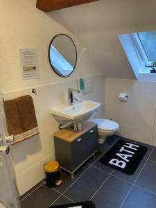 ein Badezimmer mit einem Waschbecken, einem WC und einem Spiegel in der Unterkunft Apartment Mirabelle 5 in Püttlingen