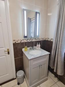 uma casa de banho com um lavatório e um espelho em Brielle House em Mountmellick