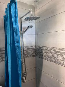 a shower with a blue shower curtain in a bathroom at Coin paisible du nord in Acoua