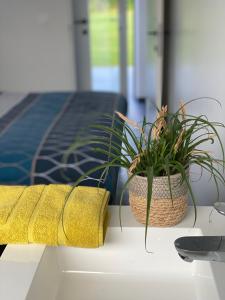 a table with a plant and a yellow towel at Die huis 14-Een oase van rust tussen polders en kust in Ostend