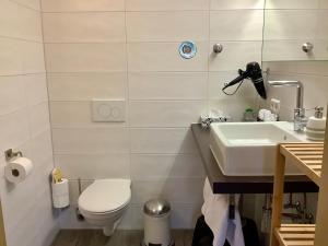 ein Bad mit einem WC und einem Waschbecken in der Unterkunft Appartement 51 in Schwäbisch Hall
