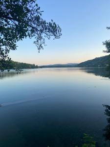 a view of a lake from a tree at MT.1937 in Condrieu