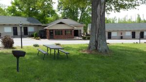 une table de pique-nique et un banc dans l'herbe à côté d'un arbre dans l'établissement Kentucky Lake Inn, à Gilbertsville