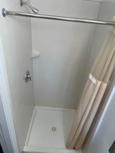 a shower with a curtain in a bathroom at Express Inn in Towson