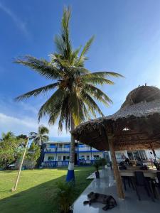 a cat laying under a umbrella next to a building at Tintipan Hotel in Tintipan Island
