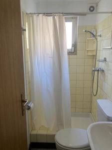 a bathroom with a shower curtain and a toilet at Mon Abri in Beatenberg