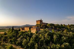 皮恩扎Palazzo Massaini - Le Scuderie的山顶上有一座城堡，树丛茂密