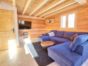 a living room with a blue couch and wooden walls at Chalet Notre-Dame-de-Bellecombe, 6 pièces, 12 personnes - FR-1-505-99 in Notre-Dame-de-Bellecombe