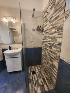 La salle de bains est pourvue d'une douche et d'un lavabo. dans l'établissement Casa del Buen Viaje, à Mendoza