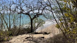 Paesaggio naturale nelle vicinanze dell'appartamento