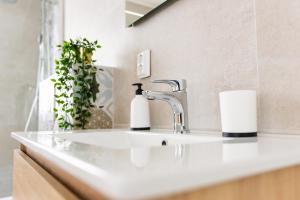 Imagine din galeria proprietății Studio Apartment Volterra Curacao în Willemstad