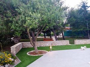Zahrada ubytování Apartment in Casa Porta Luna, Gajac, Novalja