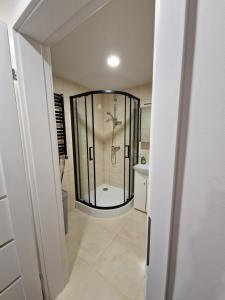 ein Bad mit einer Dusche und einer Glastür in der Unterkunft Malūno apartamentai in Klaipėda