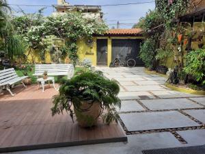 阿拉亞爾多卡博的住宿－Suíte no jardim - Praia dos Anjos，天井,有两把长凳和盆栽植物