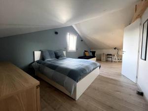a bedroom with a large bed in a attic at La Maison de Juliette in Le Puy en Velay