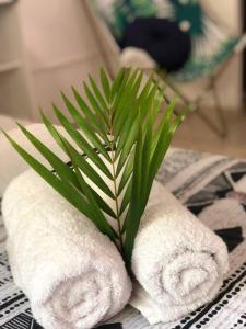 a stack of towels and a plant on a table at Sainte Luce_Villa_Piscine avec vue mer_wifi in Sainte-Luce