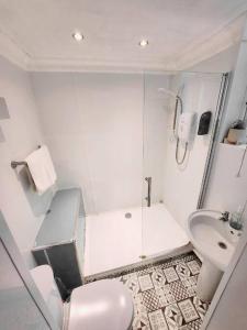 a white bathroom with a toilet and a sink at Russell Square Apartment in Brighton & Hove +38 photos
