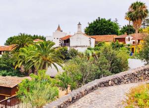 伊科德德洛斯維諾斯的住宿－Canarian House Casa Esther in Icod de los Vinos，一座拥有石墙和建筑的村庄