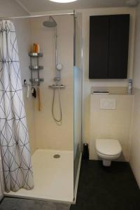 ein Bad mit einer Dusche und einem WC in der Unterkunft Maison moderne proche de Paris in Montigny-lès-Cormeilles
