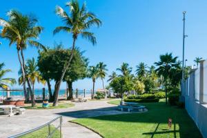 een park met palmbomen en de oceaan bij Buena Vida Beach Studio Puerto Rico in San Juan
