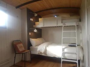 a bedroom with a bunk bed with a ladder at Mayo Glamping in Castlebar