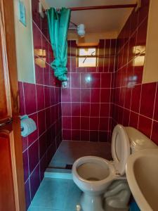 La salle de bains est pourvue de toilettes et d'un rideau vert. dans l'établissement MIRADOR DEL INCA, à Isla de Sol