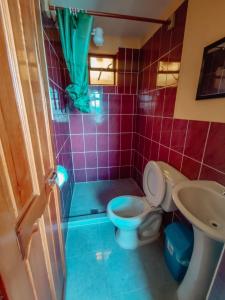 La salle de bains est pourvue de toilettes, d'un lavabo et d'une douche. dans l'établissement MIRADOR DEL INCA, à Isla de Sol