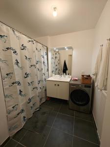 ein Badezimmer mit einem Waschbecken und einer Waschmaschine in der Unterkunft l'Éden familial - cosy T3 proche Disneyland avec jardin in Vaires-sur-Marne