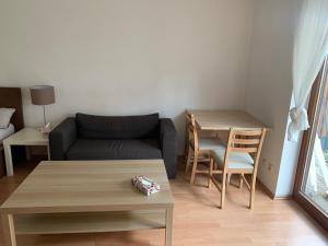 ein Wohnzimmer mit einem Sofa und einem Tisch in der Unterkunft Studio Heidelberg in Heidelberg