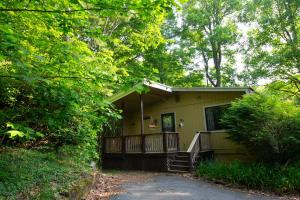 a small yellow house with a porch and trees at Pinetop Nest: Happy Place in Sugar Mountain in Banner Elk