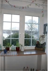a kitchen with three windows and potted plants on a counter at Seesicht nahe am Zentrum in Kilchberg