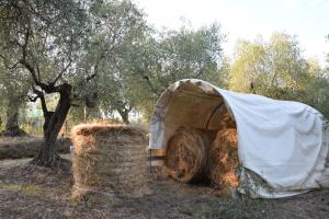 Fotografie z fotogalerie ubytování Da Poldino v destinaci Borgo a Buggiano