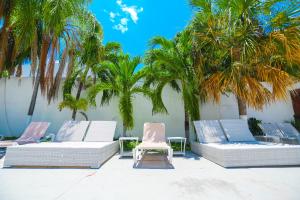 Fotografie z fotogalerie ubytování Hotel Parador v destinaci Cancún