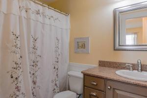 a bathroom with a toilet and a sink and a shower curtain at Roller Mills Retreat - 16+ in Lehi