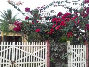 una cerca blanca con una puerta blanca con flores rojas en Casa pé na areia ao lado de Mangue Seco, en Jandaíra