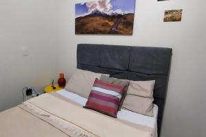 a bed with two pillows and a picture on the wall at Confortável apt em Parauapebas in Parauapebas