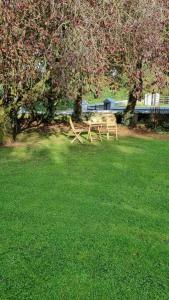 a picnic table in a field of green grass at Teachín na Siúire 