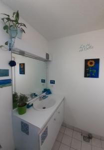 Maison 3 chambres avec jardinet في Ris-Orangis: حمام مع حوض ومرآة