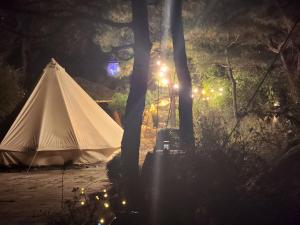 uma tenda branca numa floresta à noite em K Highstel Jayeon 