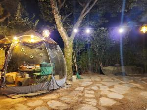 uma tenda de iguana num jardim à noite em K Highstel Jayeon 