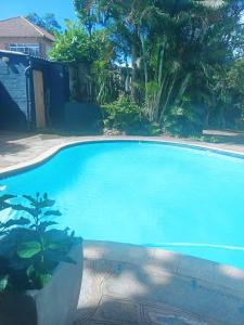 a large blue swimming pool in a yard at Othandweni Holiday Home in Durban