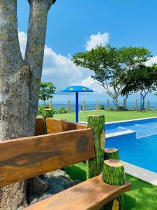 a wooden bench sitting next to a tree next to a pool at Ecohotel La Reserva in Piojó