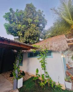 Afbeelding uit fotogalerij van Villa Parazinho in Paracuru +67 foto's