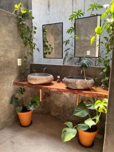 a bathroom with two sinks and potted plants at Villa Parazinho in Paracuru