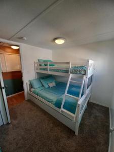a bedroom with two bunk beds and a ladder at Lower River Retreat in Parker