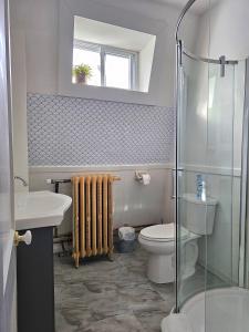 uma casa de banho com um WC, um lavatório e um chuveiro em Royal Hotel em Sydney